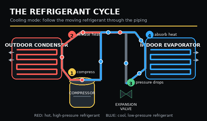 Animated refrigerant cycle through the compressor, condenser, expansion valve, and evaporator